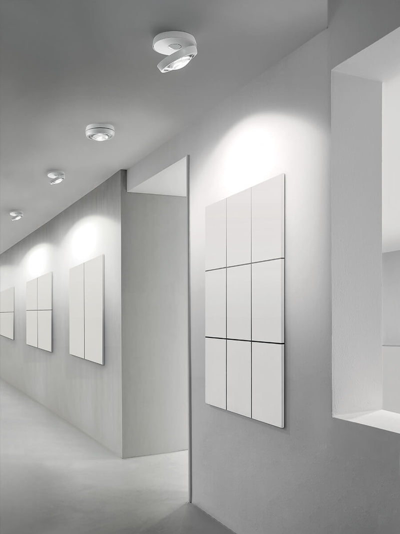 Nautilus Ceiling - MyConcept Hong Kong