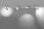 Nautilus Ceiling - MyConcept Hong Kong