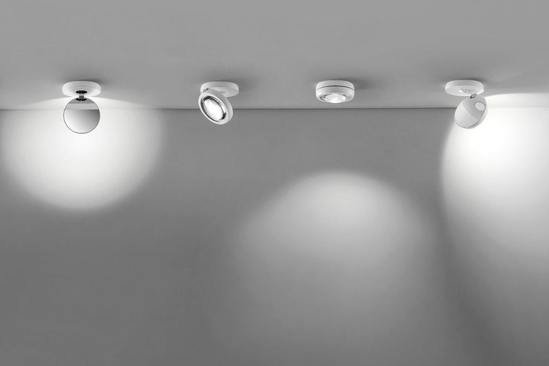 Nautilus Ceiling - MyConcept Hong Kong