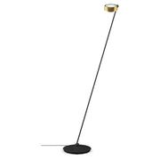 Sento Lettura - MyConcept Hong Kong