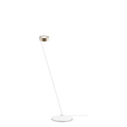 Sento Lettura - MyConcept Hong Kong