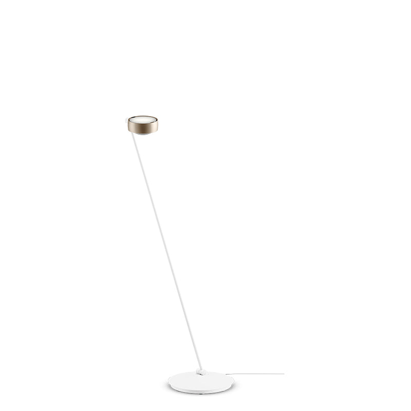 Sento Lettura - MyConcept Hong Kong