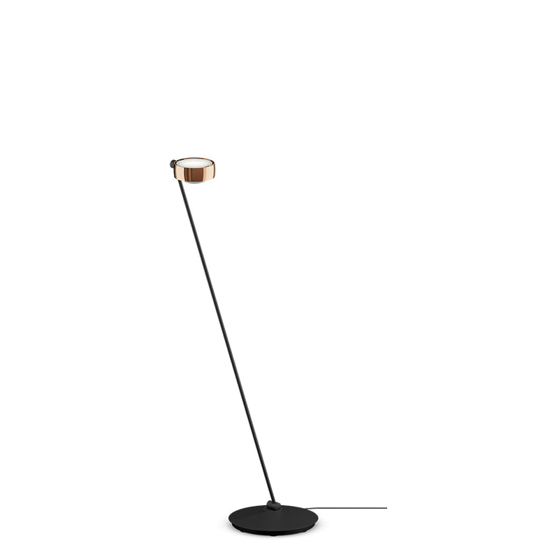 Sento Lettura - MyConcept Hong Kong