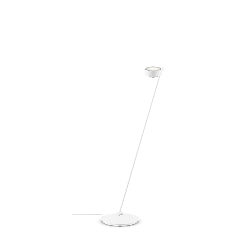 Sento Lettura - MyConcept Hong Kong