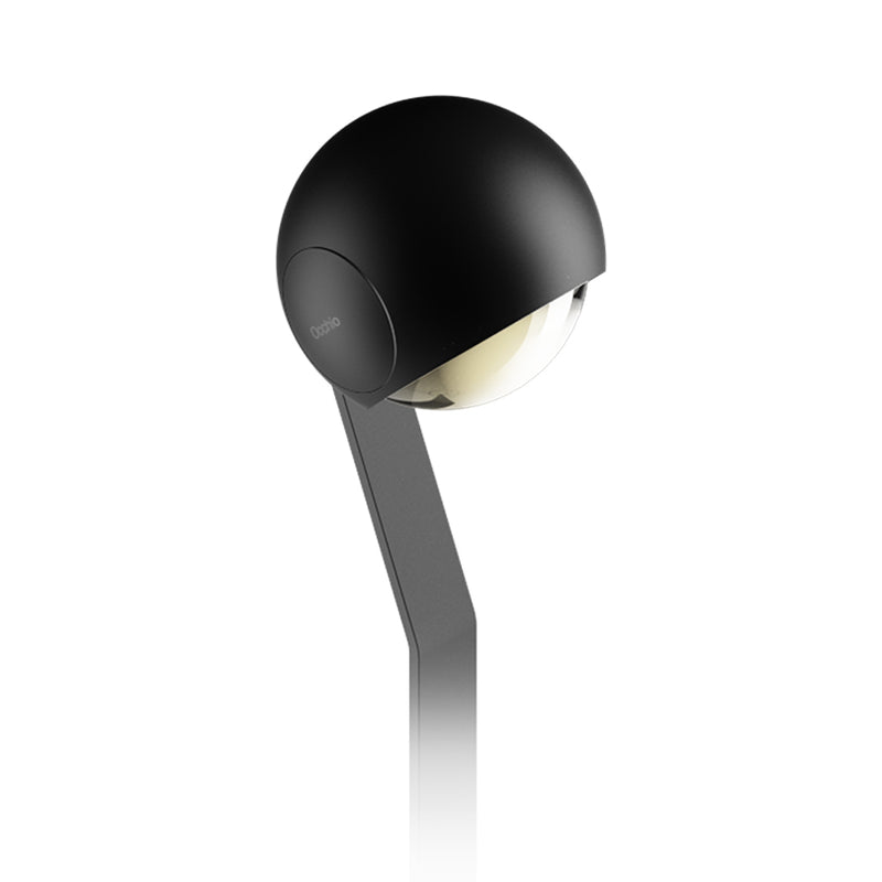 IO 3d Lettura - MyConcept Hong Kong