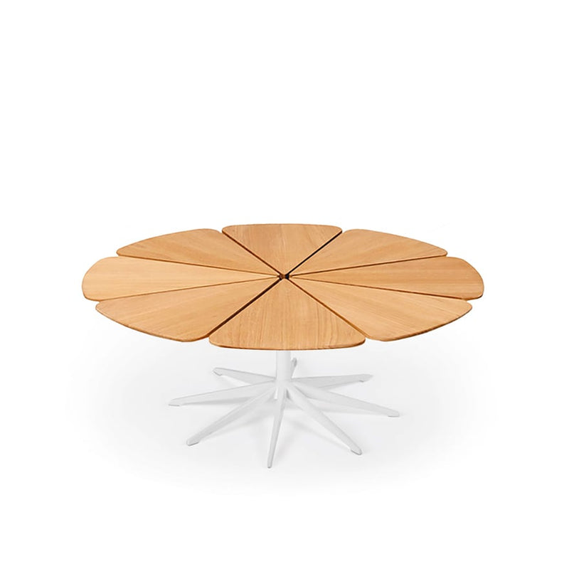 Petal Coffee Table - MyConcept Hong Kong
