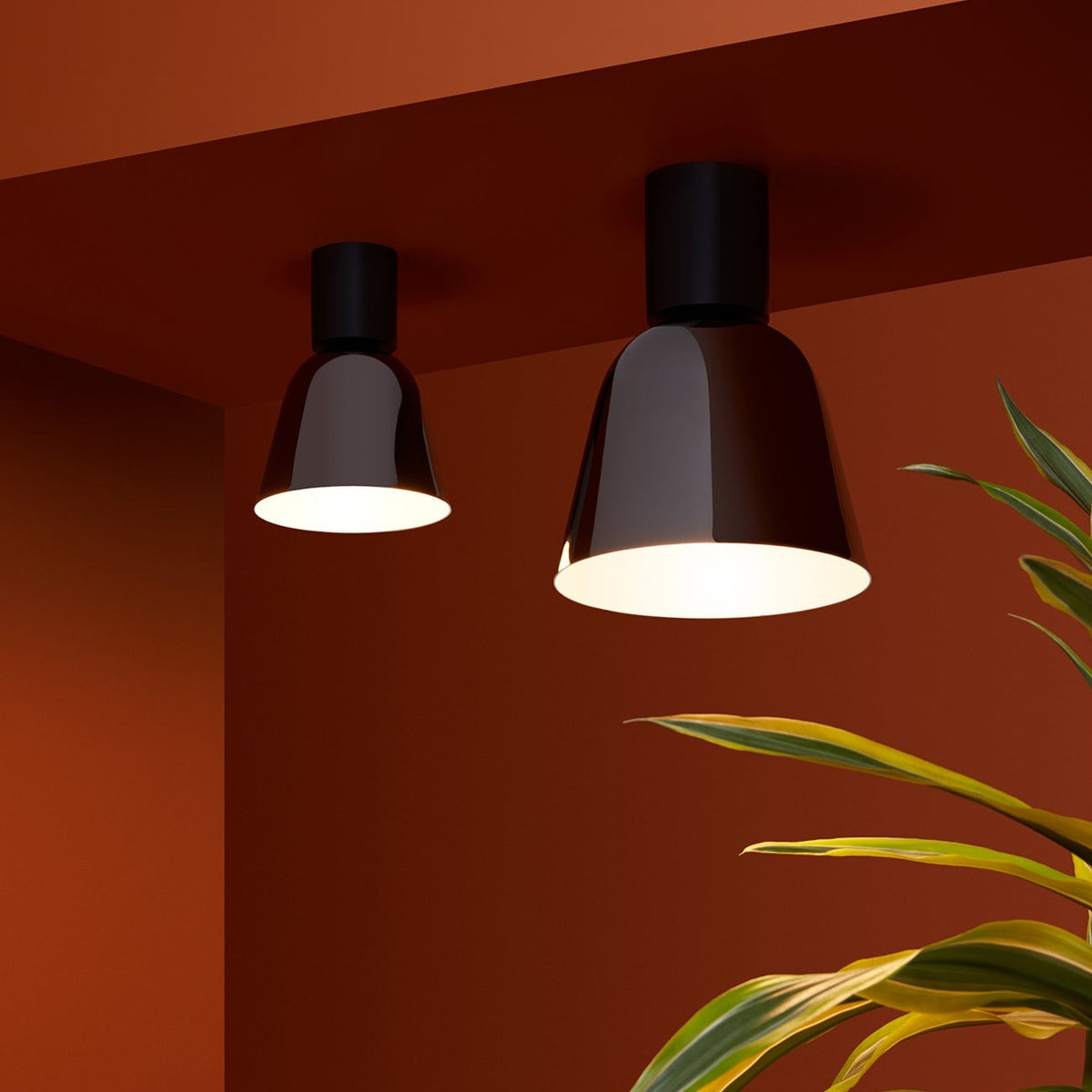 LIGHTO Ceiling Lamp — MyConcept Hong Kong