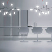 Rami - MyConcept Hong Kong