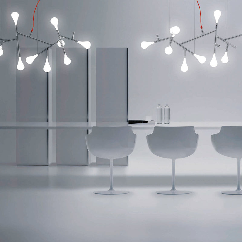 Rami - MyConcept Hong Kong