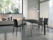 Simba Chair - MyConcept Hong Kong