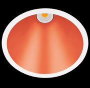 SWAP XL Dim to Warm - MyConcept Hong Kong