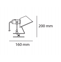 TOLOMEO PINZA - MyConcept Hong Kong