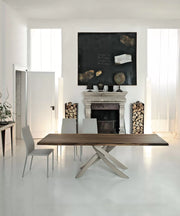 Tai Chair - MyConcept Hong Kong