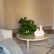 Venus Vase - MyConcept Hong Kong