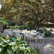 1966 Dining Chair - MyConcept Hong Kong