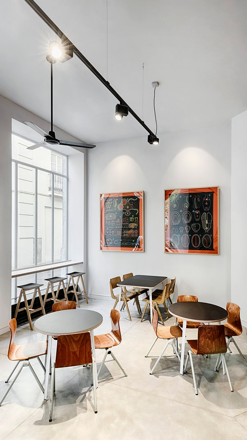 ZEN - MyConcept Hong Kong