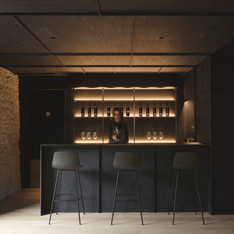 Shot Light - MyConcept Hong Kong