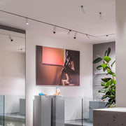 PLUS 48V Short - MyConcept Hong Kong
