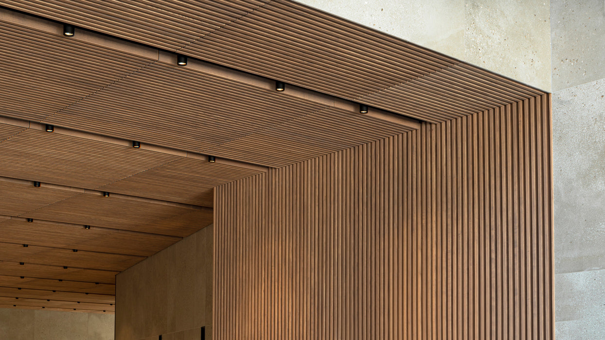 TOP 48V Short - MyConcept Hong Kong