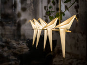 PERCH LIGHT BRANCH - MyConcept Hong Kong