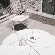 Petal Coffee Table - MyConcept Hong Kong