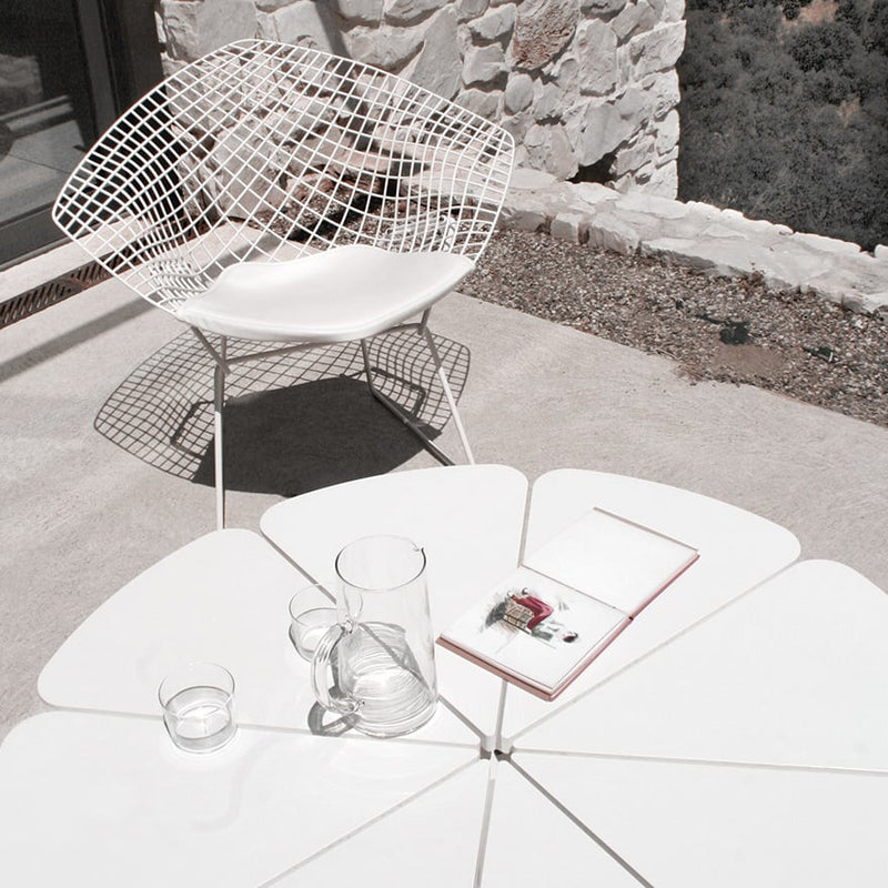 Petal Coffee Table - MyConcept Hong Kong
