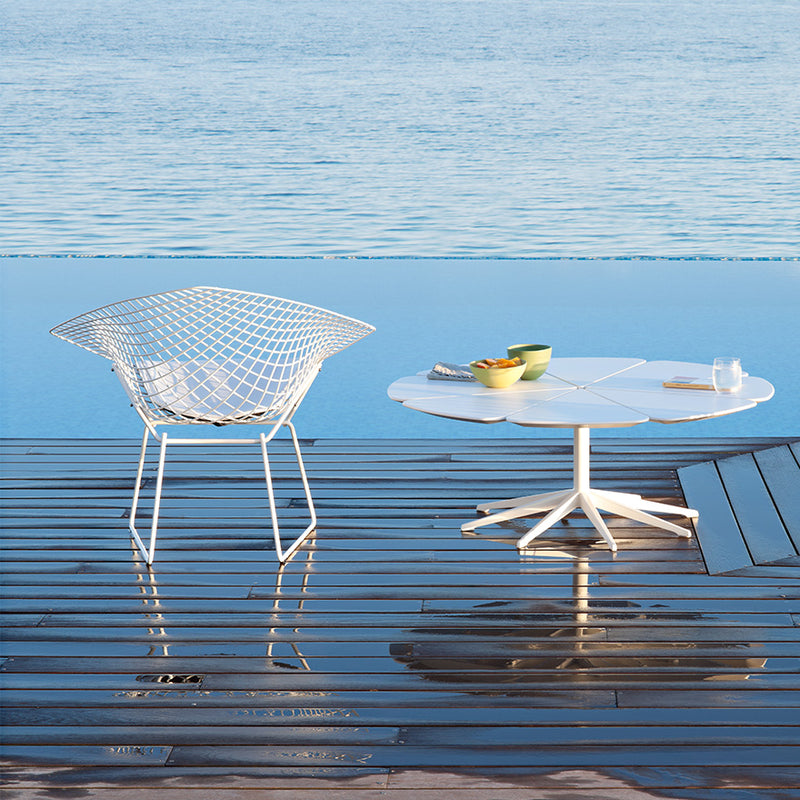Petal Coffee Table - MyConcept Hong Kong