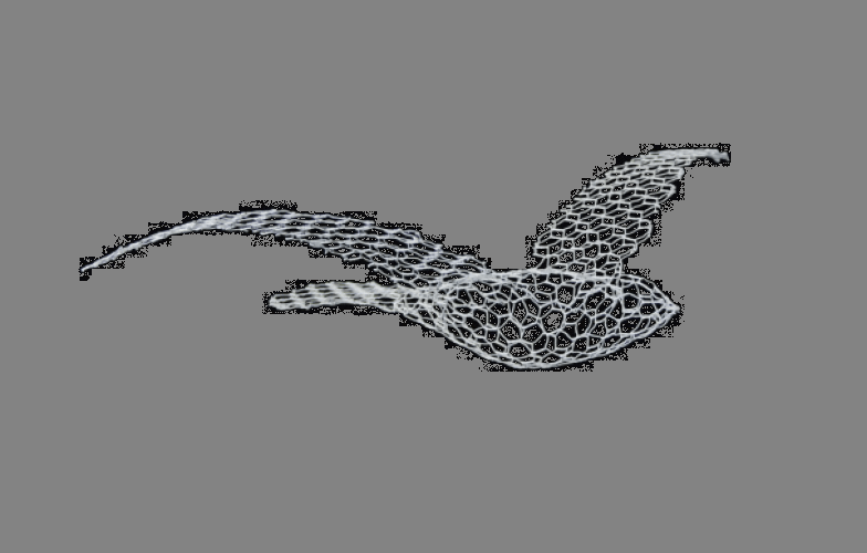 Birds Bird small - MyConcept Hong Kong