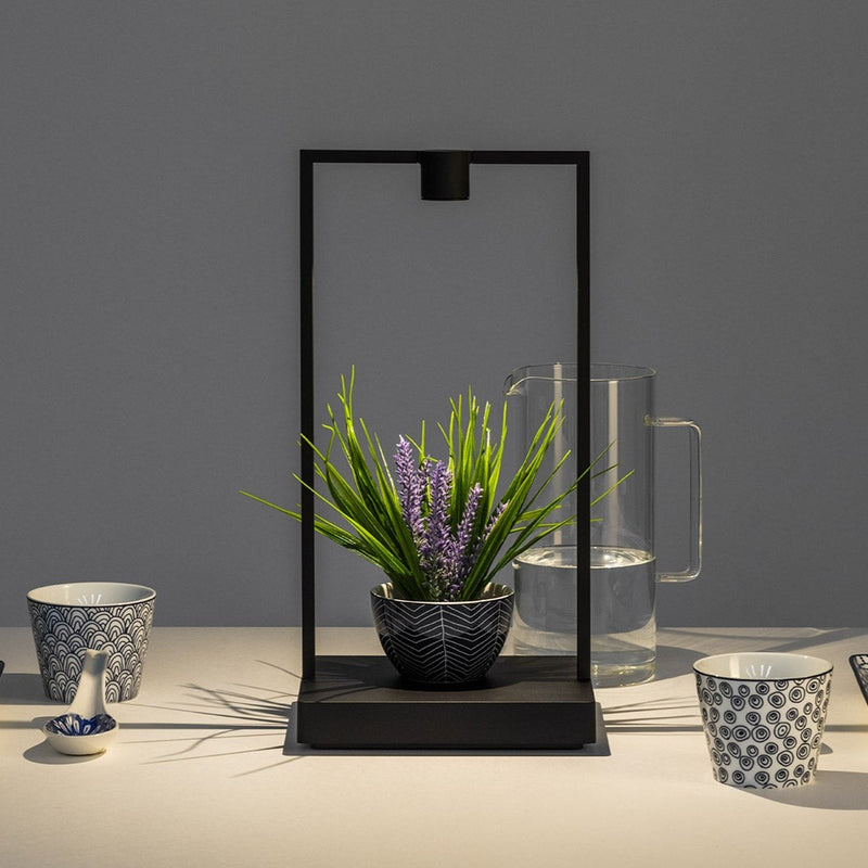 CURIOSITY FOCUS - MyConcept Hong Kong