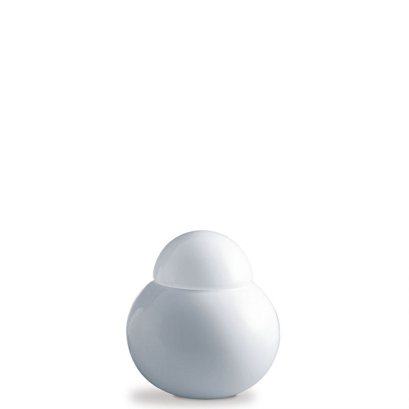 DARUMA MEDIUM - MyConcept Hong Kong