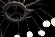DEAR INGO - MyConcept Hong Kong