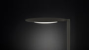 Duca Table Lamp - MyConcept Hong Kong