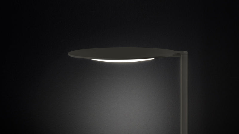 Duca Table Lamp - MyConcept Hong Kong