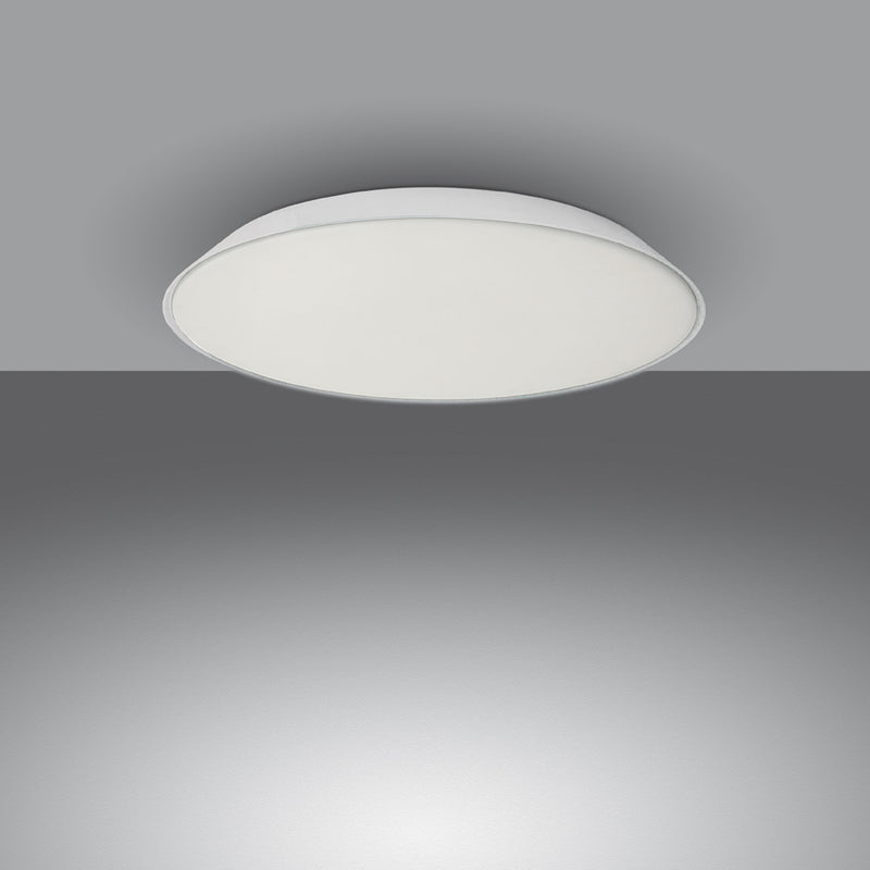FEBE WALL/CEILING - MyConcept Hong Kong