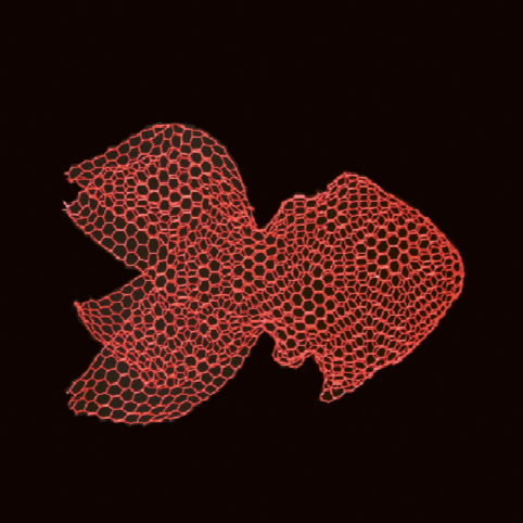 Fish Fish medium - MyConcept Hong Kong