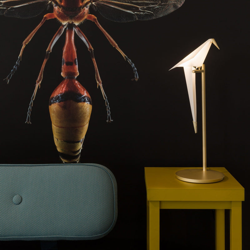 PERCH LIGHT TABLE - MyConcept Hong Kong