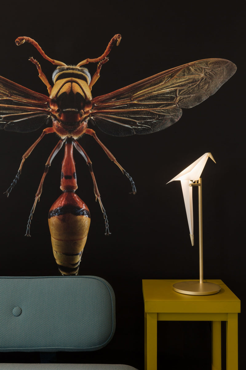 PERCH LIGHT TABLE - MyConcept Hong Kong