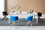 Cut S147 - MyConcept Hong Kong