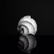 MENDORI - MyConcept Hong Kong