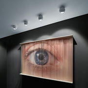 IO Giro - MyConcept Hong Kong