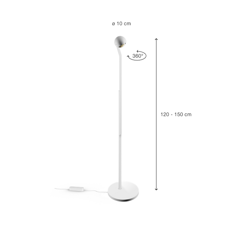 IO 3d Lettura - MyConcept Hong Kong