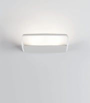 Aile - MyConcept Hong Kong