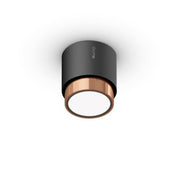 Lui Alto V - MyConcept Hong Kong