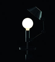 Mr. Light Short - MyConcept Hong Kong