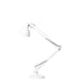 NASKA LARGE Table Lamp - MyConcept Hong Kong