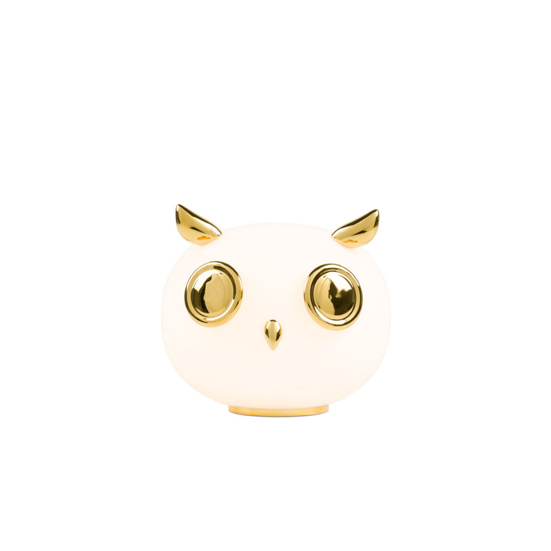 PET LIGHTS - MyConcept Hong Kong