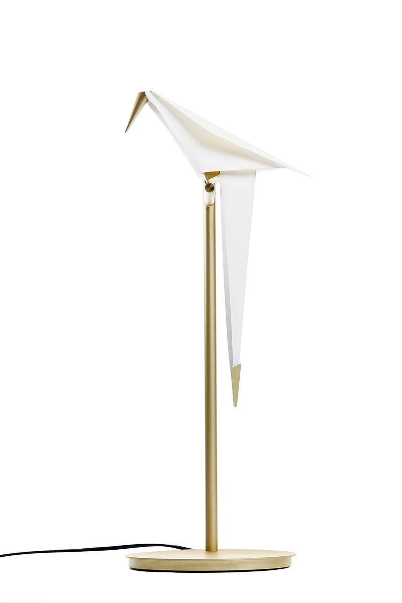 PERCH LIGHT TABLE - MyConcept Hong Kong
