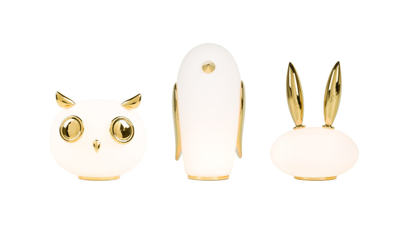 PET LIGHTS - MyConcept Hong Kong