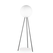 PRIMA SIGNORA - MyConcept Hong Kong