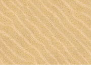 Puzzle Carpet - MyConcept Hong Kong